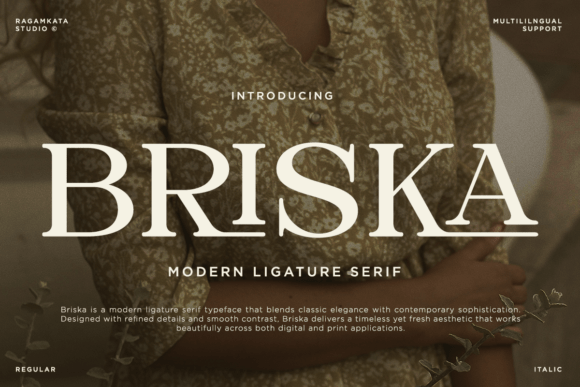 Briska Font - Featured Image