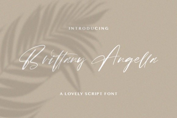 Brittany Angella Font - Featured Image