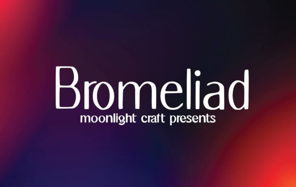 Bromeliad Font - Featured Image