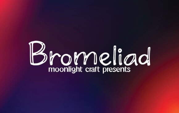 Bromeliad Font - Featured Image