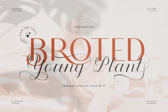 Broted Young Plant Font - Featured Image