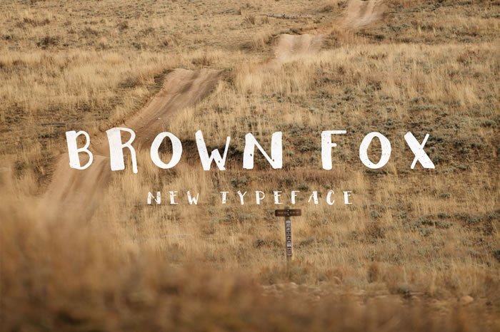 Brown Fox Font - Featured Image