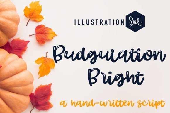 Budgulation Font - Featured Image