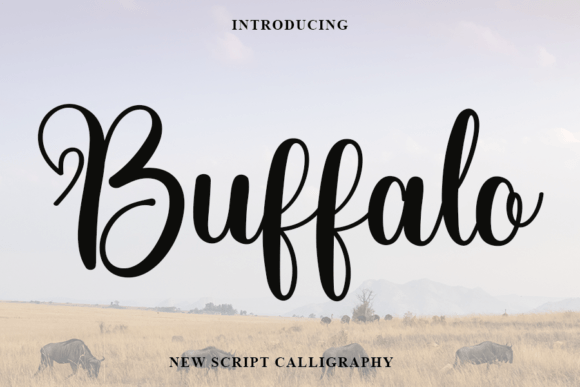 Buffalo Font - Featured Image