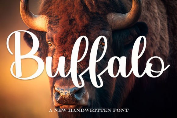 Buffalo Font - Featured Image