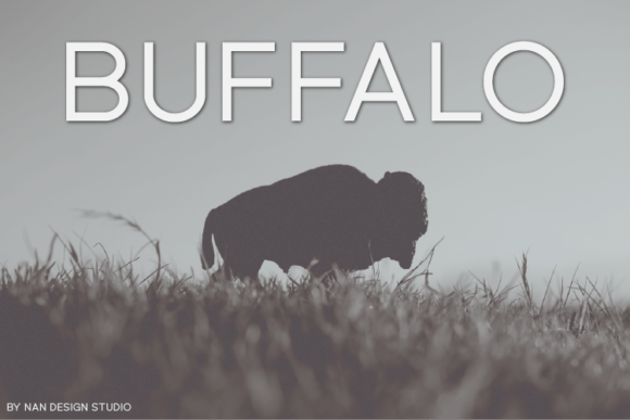 Buffalo Font - Featured Image