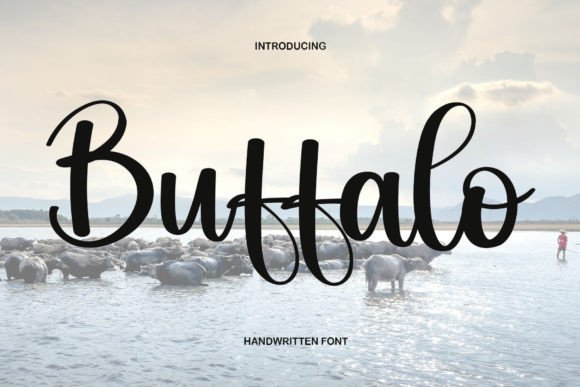 Buffalo Font - Featured Image