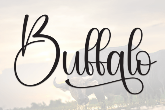 Buffalo Font - Featured Image
