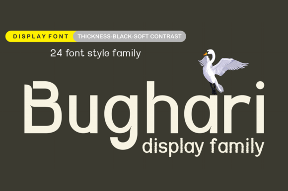 Bughari Font - Featured Image