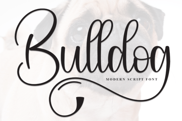 Bulldog Font - Featured Image