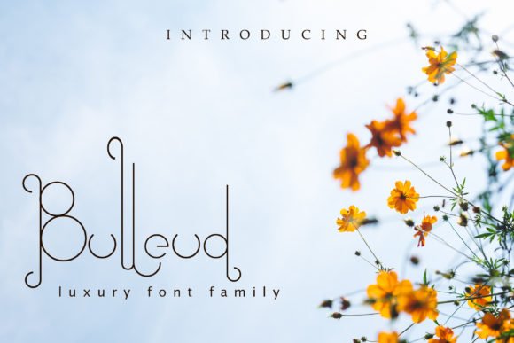 Bulleud Font - Featured Image