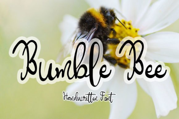 Bumble Bee Font - Featured Image