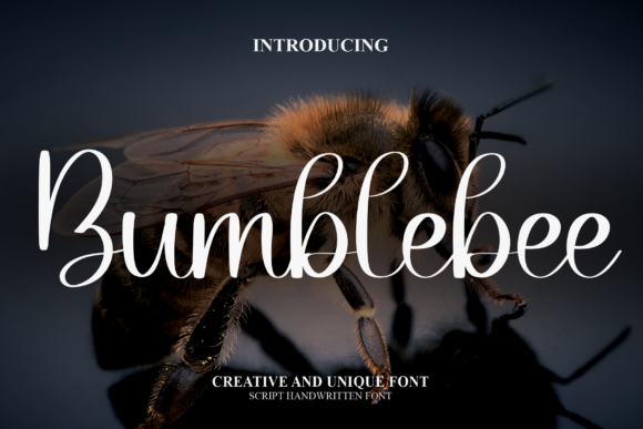 Bumblebee Font - Featured Image