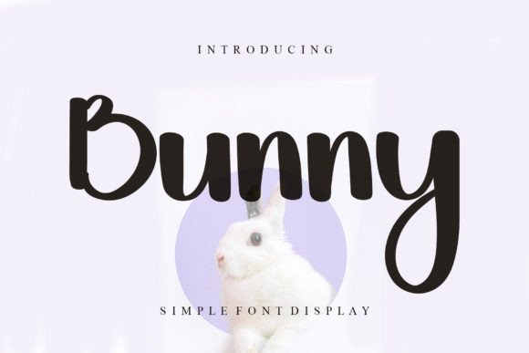 Bunny Font - Featured Image