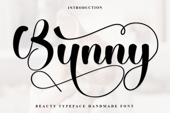 Bunny Font - Featured Image