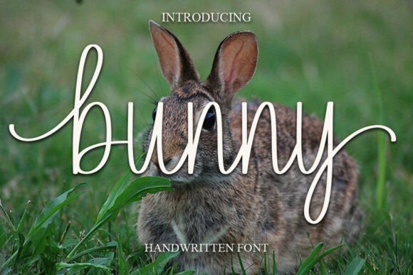 Bunny Font - Featured Image