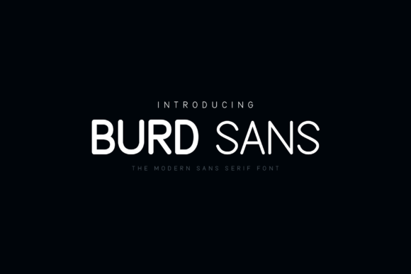 Burd Sans Font - Featured Image