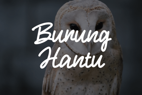 Burung Hantu Font - Featured Image