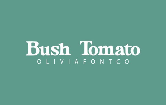 Bush Tomato Font - Featured Image