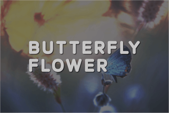 Butterfly Flower Font - Featured Image