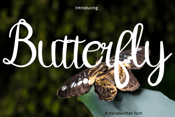 Butterfly Font - Featured Image