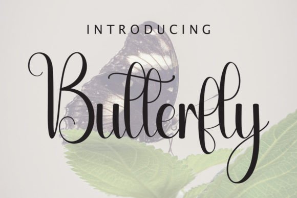 Butterfly Font - Featured Image