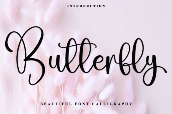 Butterfly Font - Featured Image