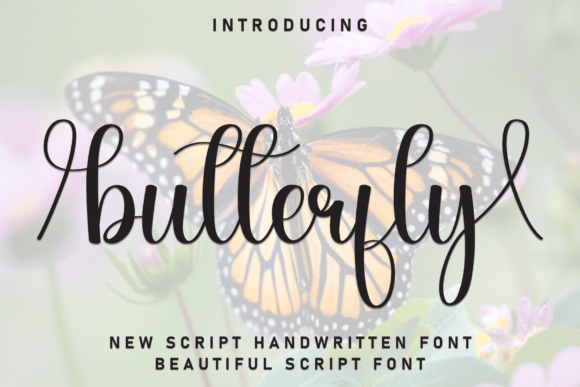 Butterfly Font - Featured Image