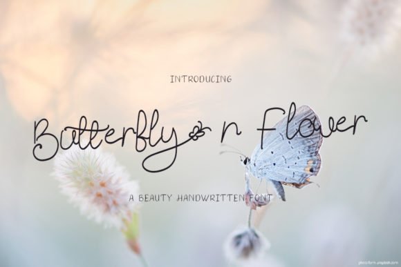 Butterfly N Flower Font - Featured Image