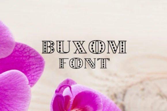 Buxom Font - Featured Image