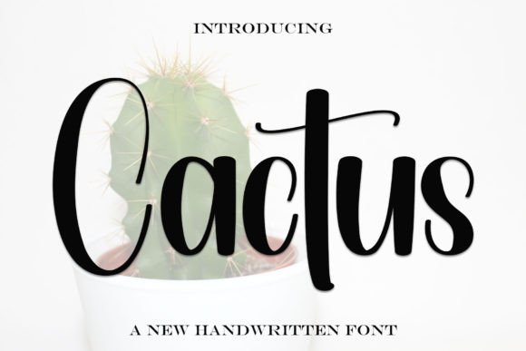 Cactus Font - Featured Image