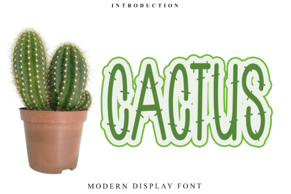 Cactus Font - Featured Image
