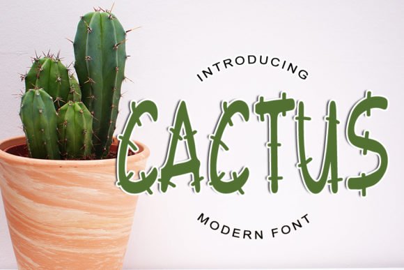 Cactus Font - Featured Image