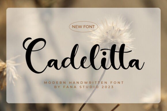 Cadelitta Font - Featured Image