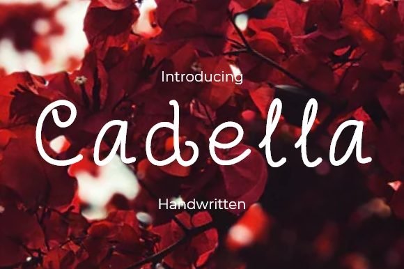Cadella Font - Featured Image