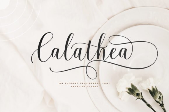 Calathea Font - Featured Image