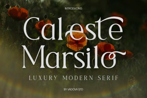 Caleste Marsilo Font - Featured Image