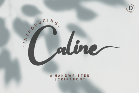 Caline Font - Featured Image