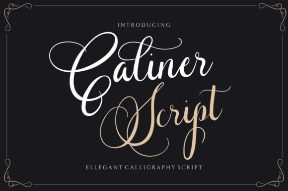 Caliner Script Font - Featured Image