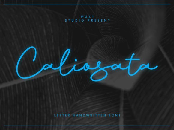 Caliosata Font - Featured Image