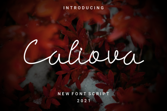 Caliova Font - Featured Image