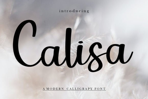 Calisa Font - Featured Image