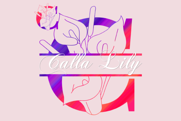 Calla Lily Split Font - Featured Image
