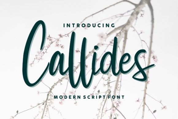 Callides Script Font - Featured Image