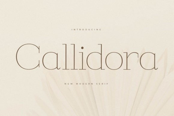 Callidora Font - Featured Image