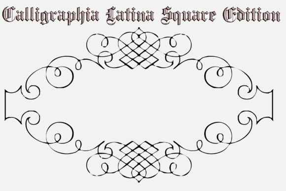 Calligraphia Latina Square Edition Font - Featured Image