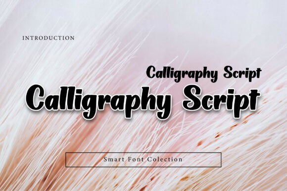 Calligraphy Script Font - Featured Image