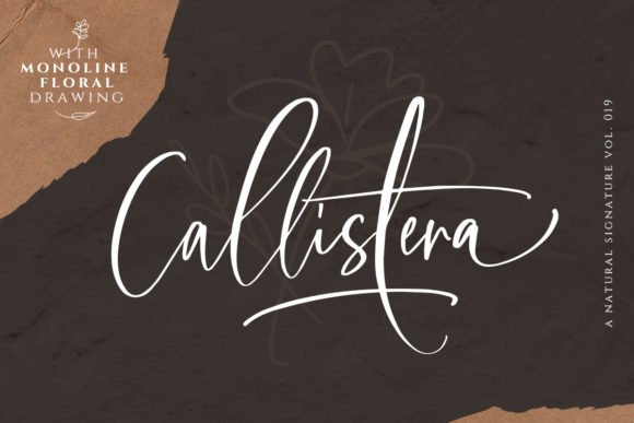 Callistera Font - Featured Image