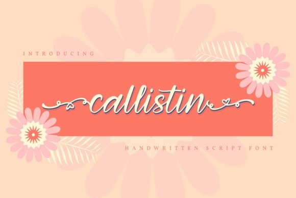 Callistin Font - Featured Image