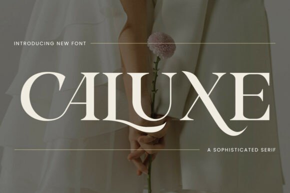 Caluxe Font - Featured Image